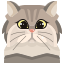 icons8-cat-64 sad