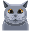 icons8-cat-64