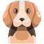 icons8-dog-64